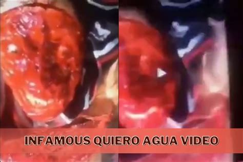 Analyzing the ‘Quiero Agua’ Video’s Impact .